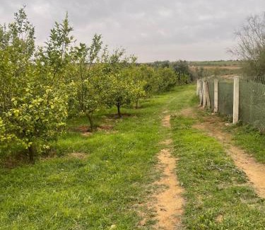 Ait Ali Ou Lahcen House | Farmhouse in Kamouni