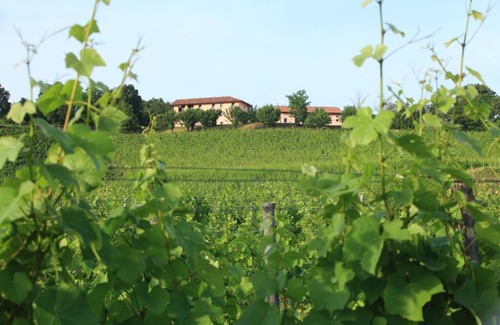 Buttrio Other | Farmhouse surrounded by vineyards
