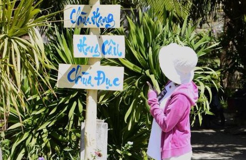 Ly Son Cabin | Farmstay Đảo Xanh