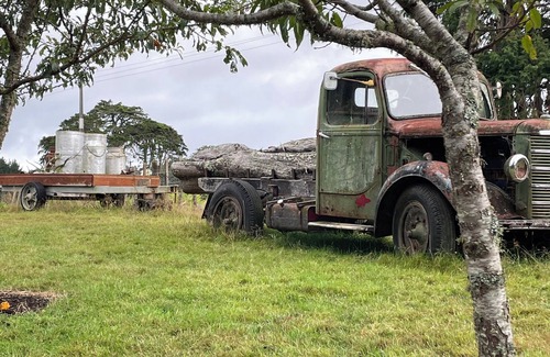 Waihi Cabin | Farmstay Cabin Waihi - Rua Horehore
