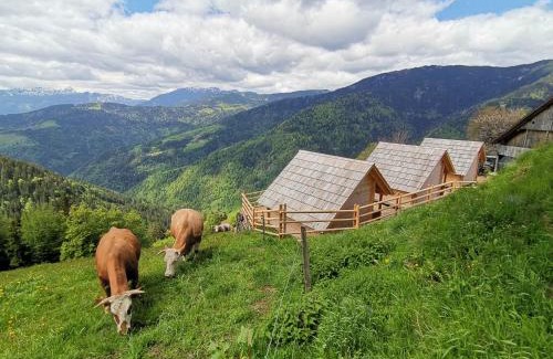 Ljubno House | Farmstay&Glamping Visočnik