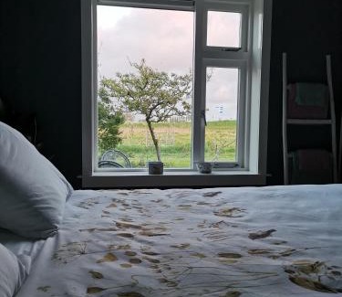 Oudeslius Bed & Breakfast | Farmstay Zijperdijk