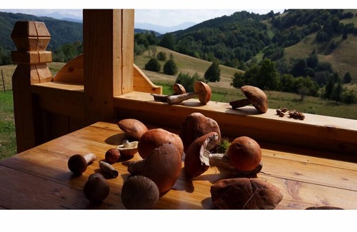 Viseu de Sus House | Fascinating holiday home in the middle of the Maramureş mountains
