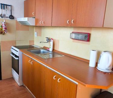Tlmace Apartment | Fast apartment in the Tlmače