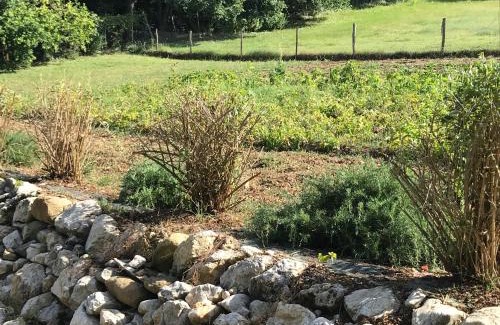 Cavalletto House | Fattoria Antica Forconia