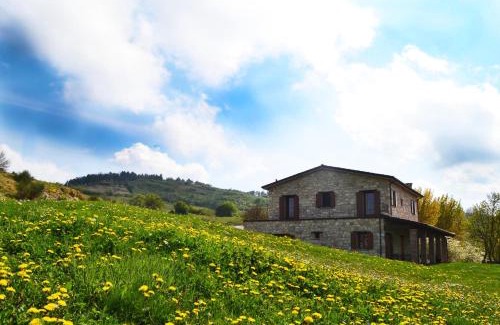 Montegrimano House | Fattoria Bio L'A Ceccoli
