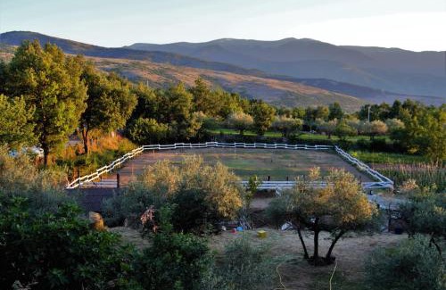 Pacentro Bed & Breakfast | Fattoria La Tana della Volpe