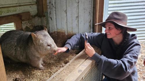 Lavers Hill House | Fauna Australia Wildlife Experience