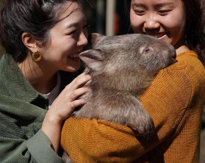 Lavers Hill House | Fauna Australia Wildlife Experience