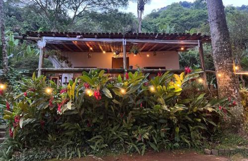 Bananal House | Fauna