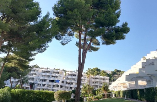 Cala Vinas Apartment | Favorite place in Mallorca, garden saltwater pool and direct sea access