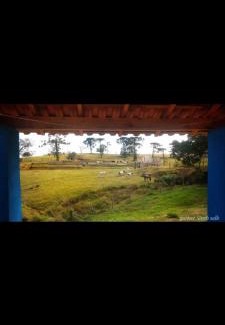 Albertina House | Fazenda Morro Alto Alegre