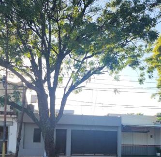 Posadas Apartment | FDH Apart