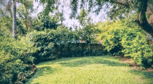 Zwartkop Bed & Breakfast | Feather Tree Bed and Breakfast