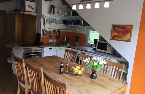 Kleines Wiesental Apartment | Feel-good top-floor apartment with terrace, whirlpool, fireplace - Apartment B