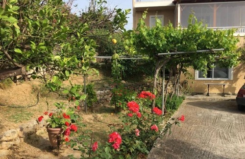 Pigi House | Feel the nature!