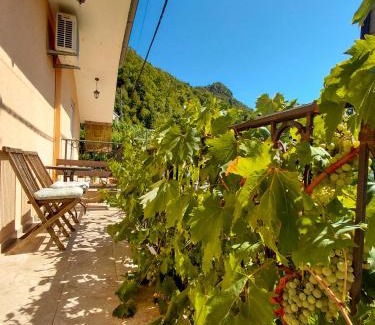 Virpazar Apartment | Feel the village