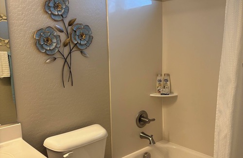 San Tan Valley House | Feels Like Home with Great AC in San Tan Valley