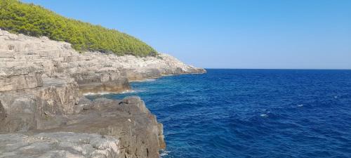 Mljet Apartment | Feliks-Studio with balcony