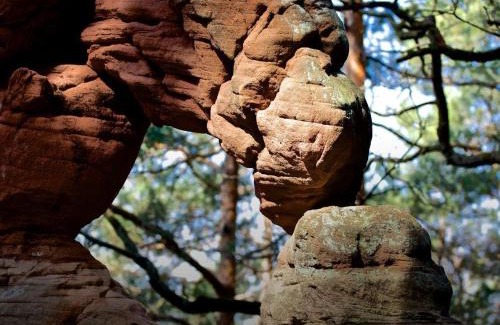 Dahn Apartment | Felsenlandblick