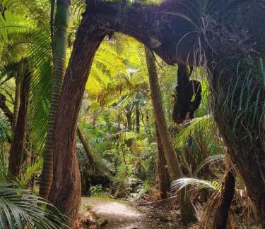 Karamea House | Fenian Retreat
