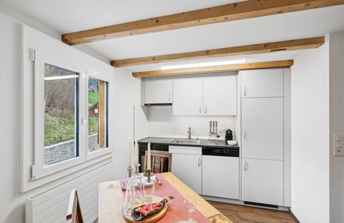 Wildhaus Apartment | FENUS Gemütlich | Bergblick | Küche | SGT08