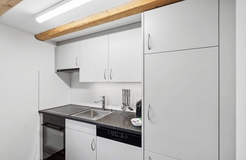 Wildhaus Apartment | FENUS Gemütlich | Bergblick | Küche | SGT08