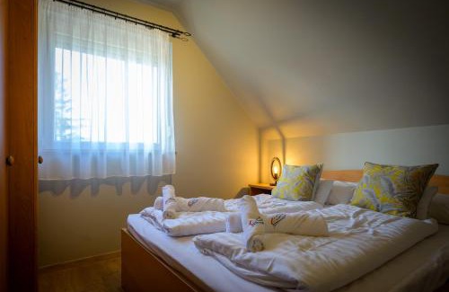 Bekesszentandras Villa | Fenyves Vendégház