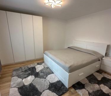 Oberndorf bei Schwanenstadt Apartment | Ferienwohnung Schwanenstadt