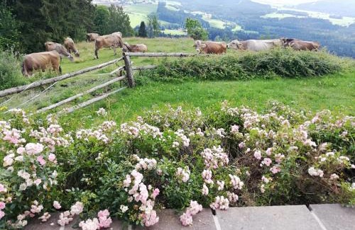 Sankt Marein bei Knittelfeld House | Ferienhaus Hochfelner