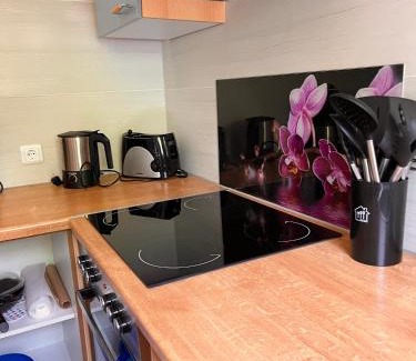 Gemunden Apartment | Ferien am Maar