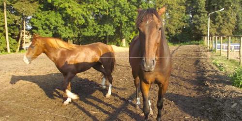 Behren-Luebchin House | Ferien am Schloss Duckwitz