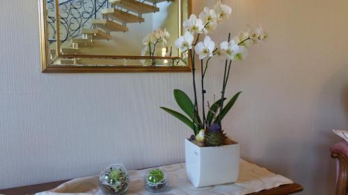 Rachtig Apartment | Ferien Apartment Melcher
