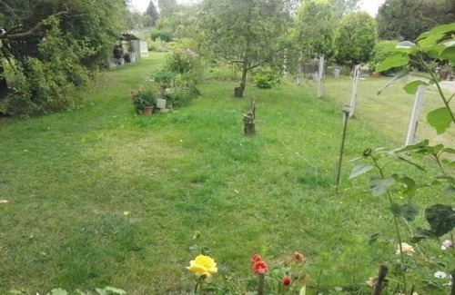 Dierkow-West Apartment | Ferien-Apartment mit Gartenblick