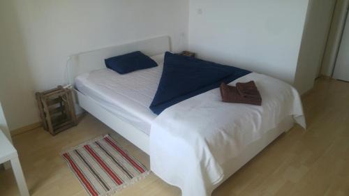 Ligerz Apartment | Ferien auf dem Weingut