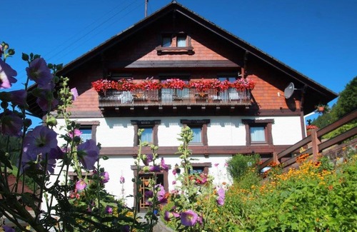 Bad Rippoldsau-Schapbach Apartment | Ferienwohnung Typ C, 80qm, 1 Schlafzimmer, max. 4 Personen