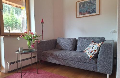 Langdorf Apartment | Ferienwohnung Crusilla