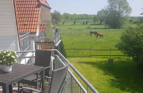 Gingst Apartment | Ferien-Residenz am Nationalpark Wohnung 6