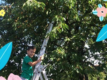 Buchlberg Apartment | Ferien- und Monteurswohnung Heilbrunnen