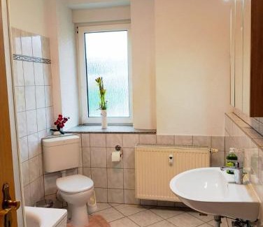 Sudliches Anhalt Apartment | Ferien- und Monteurswohnung Reinsdorf - Raum Halle Saale