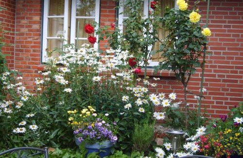 Oevenum Apartment | Ferien unterm Reetdach Whg 01