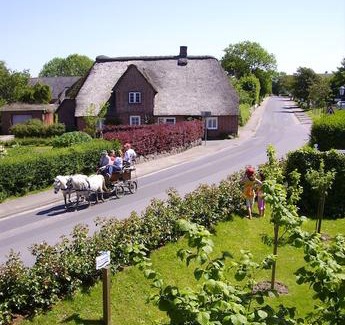 Oevenum Apartment | Ferien unterm Reetdach Whg 01