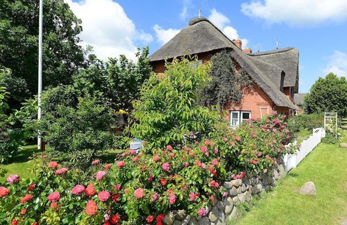 Oevenum Apartment | Ferien unterm Reetdach Whg 01