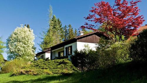 Schwarzenbach House | Ferienhäuser im Feriendorf Weissensee im Allgäu E