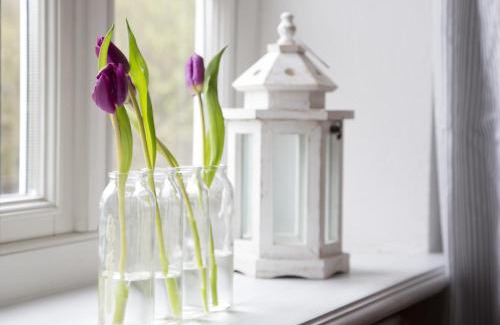 Tinnum Apartment | Ferienhäuser im Sylter Gartenweg