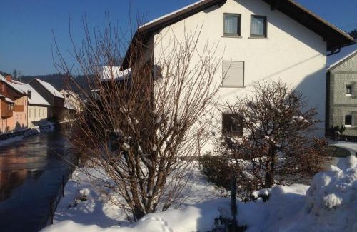 Steinwiesen Apartment | Ferienhaus 1 An der Rodach