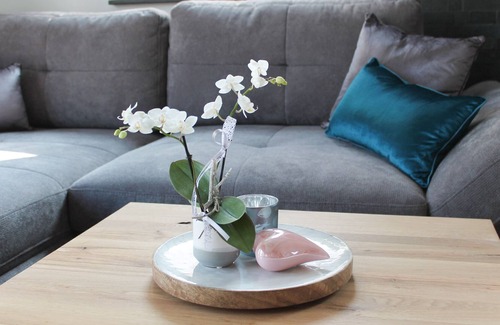 Bitz House | Ferienhaus, 95qm, 1 Schlafzimmer, 1 Wohn-/Schlafzimmer, Terrasse mit Garten, max. 2 Personen