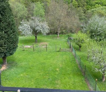 Alf House | Ferienhaus Alfbach