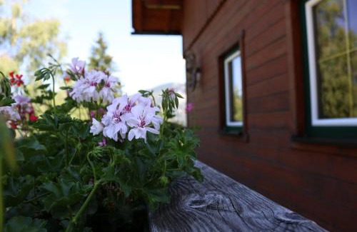 Gams bei Hieflau House | Ferienhaus am Mühlbach