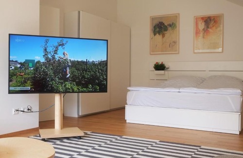Badenweiler House | Ferienhaus Badermatt